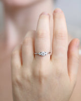 טבעת עינב גדולה