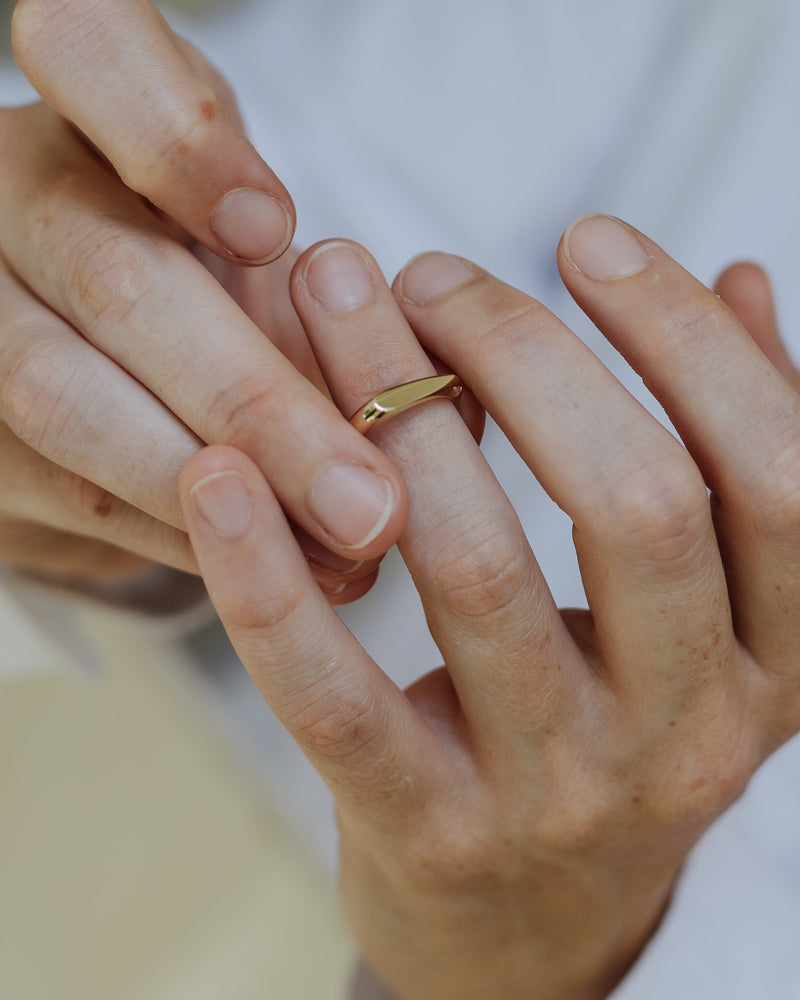 טבעת חותם מיכל