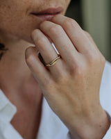 טבעת חותם מיכל