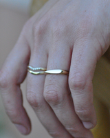 טבעת חותם מיכל