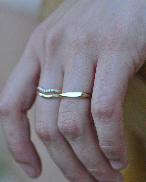 טבעת חותם מיכל